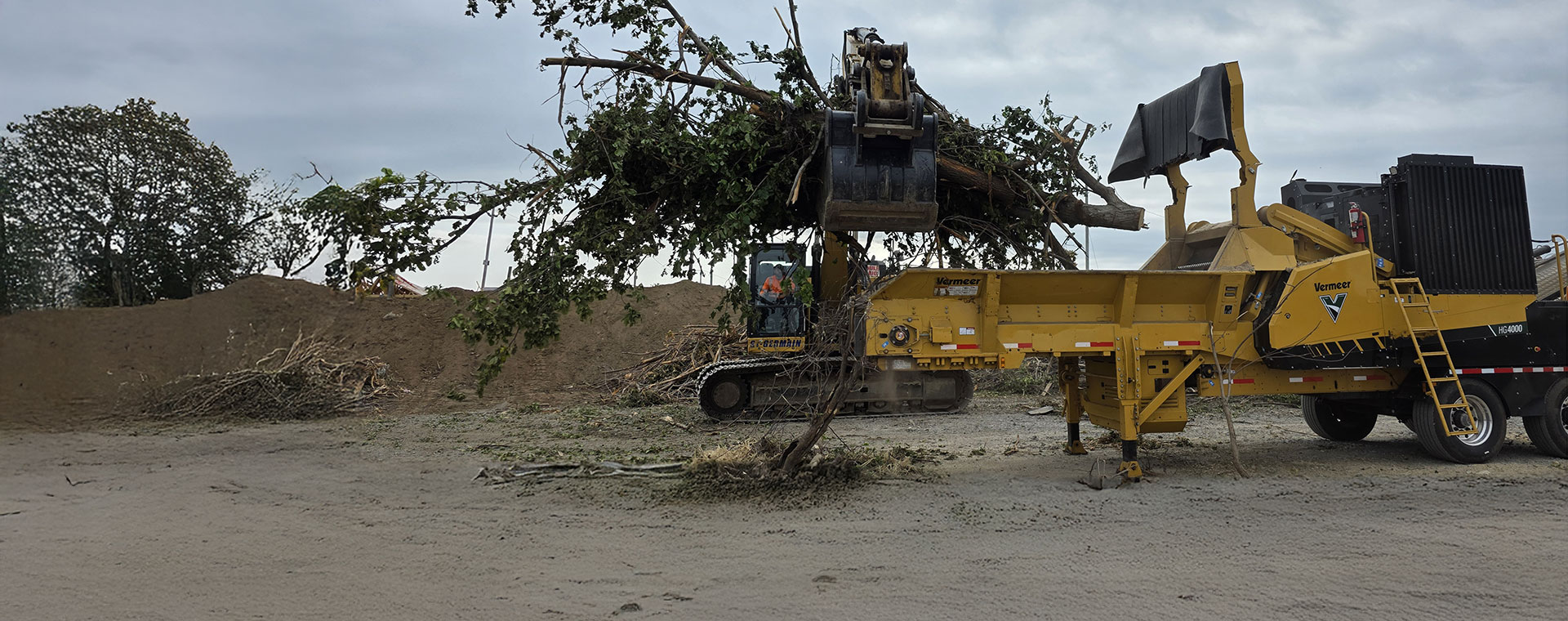 Excavatrice chargeant des branches et arbres entiers dans un broyeur industriel Vermeer sur un site de traitement de résidus verts