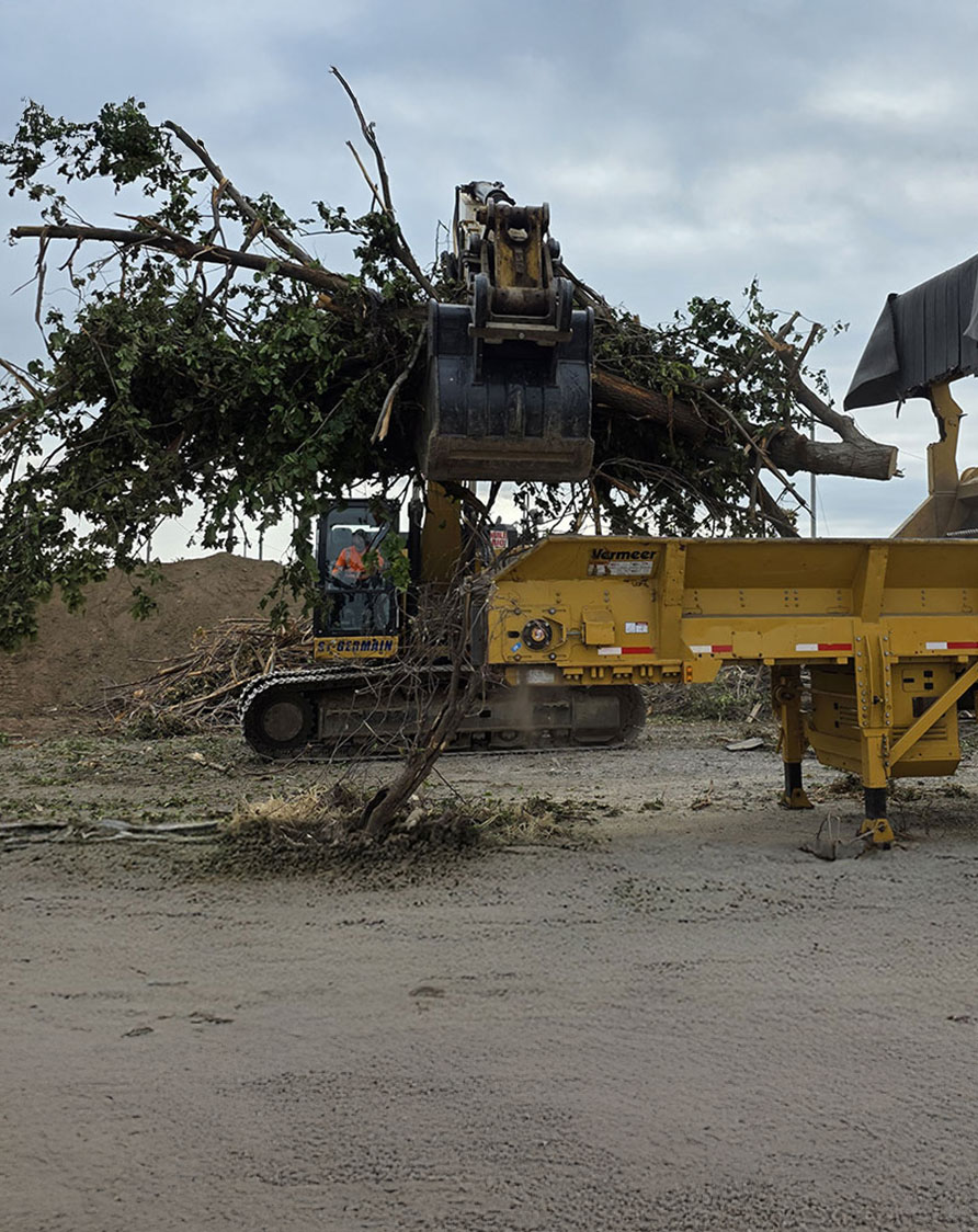 Excavatrice chargeant des branches et arbres entiers dans un broyeur industriel Vermeer sur un site de traitement de résidus verts